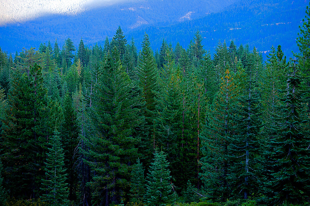 Riverside Campground