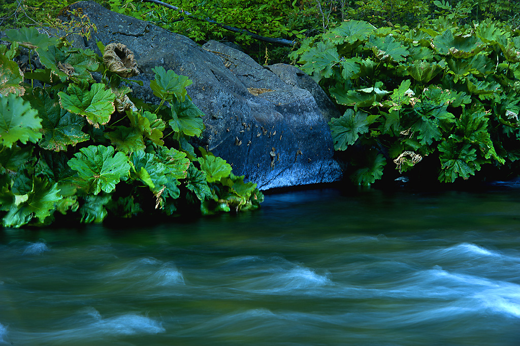 Flume Environmental Campground