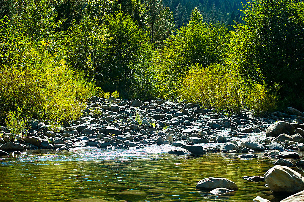 Flume Environmental Campground