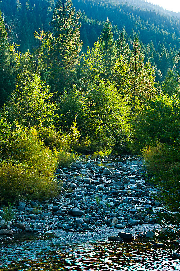 Riverside Campground