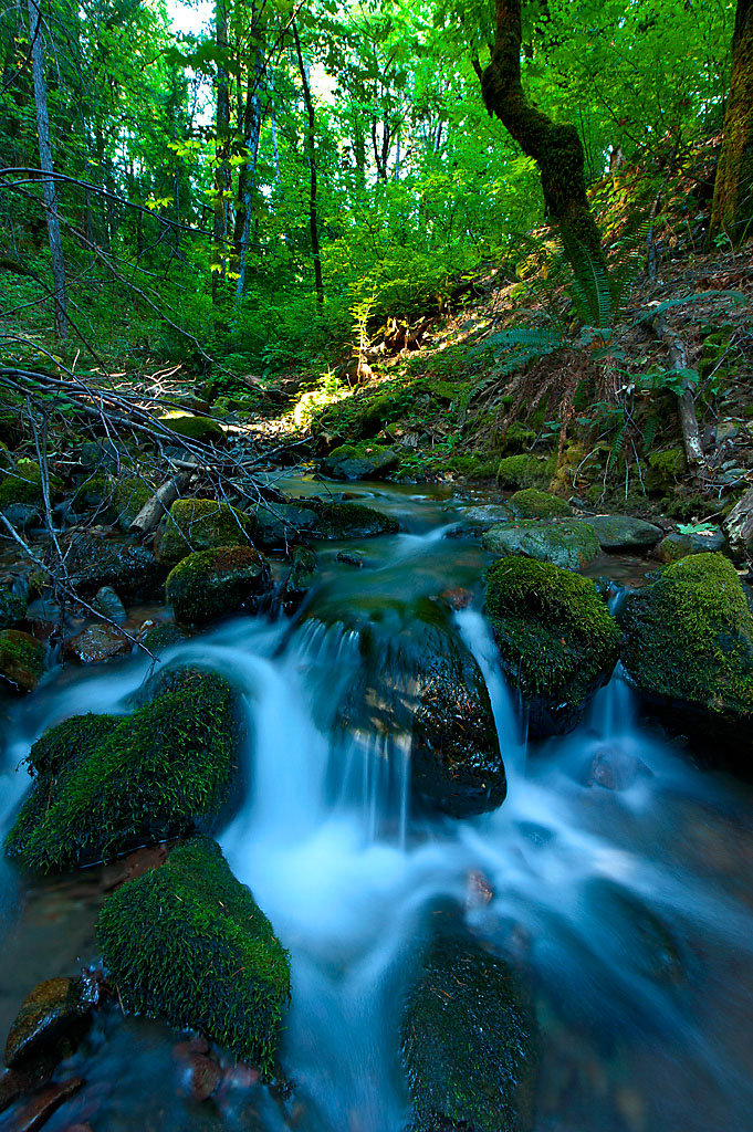 California State Parks