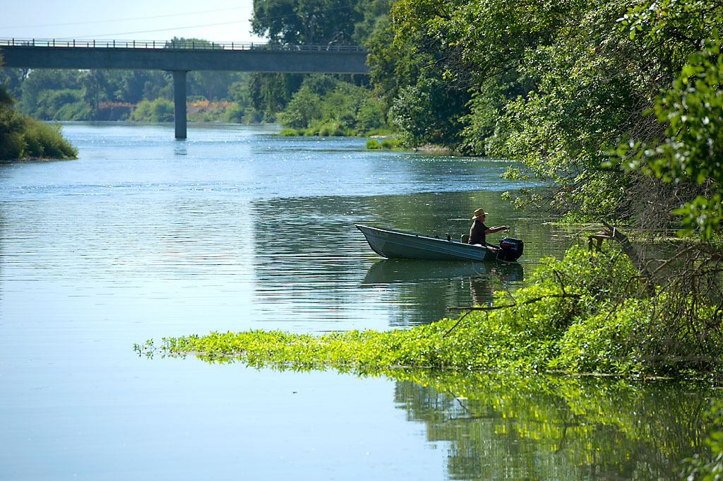 Bridge Campground