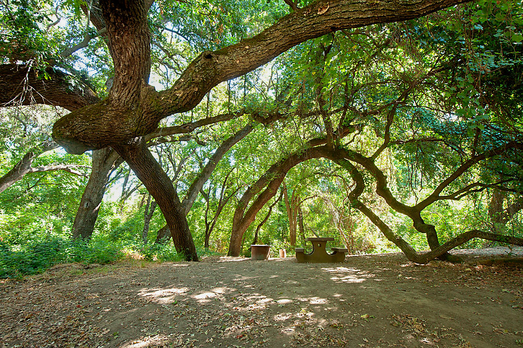 Kopta Canoe In Campground