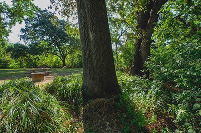 California State Parks