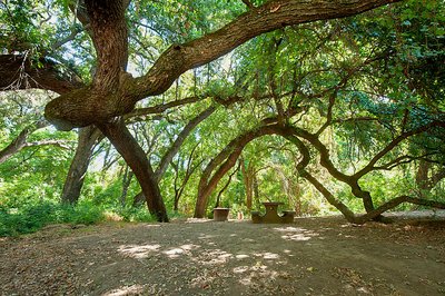 California State Parks