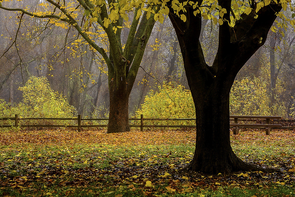 Colusa-Sacramento River State Recreation Campground