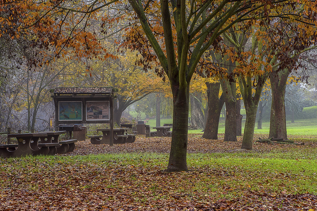 Colusa-Sacramento River State Recreation Campground