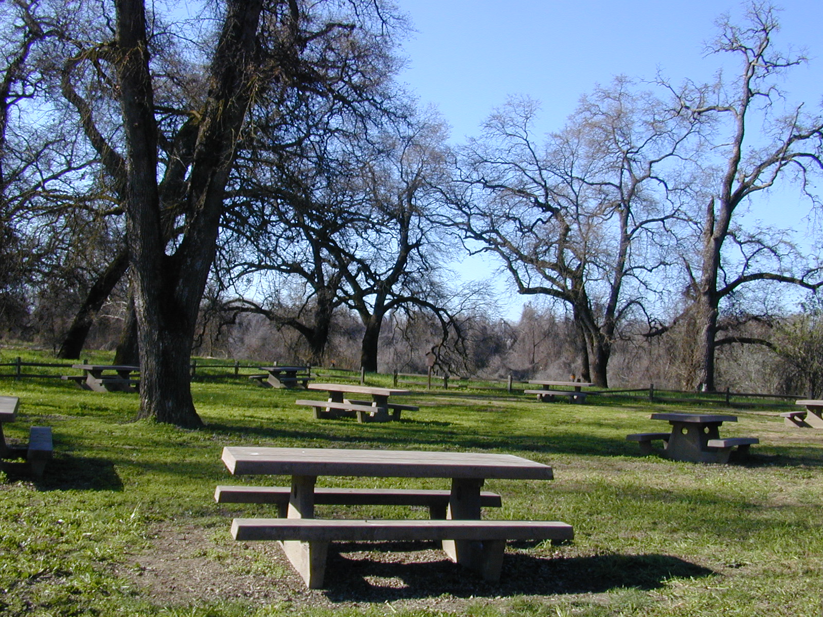 Irvine Finch Access Campground