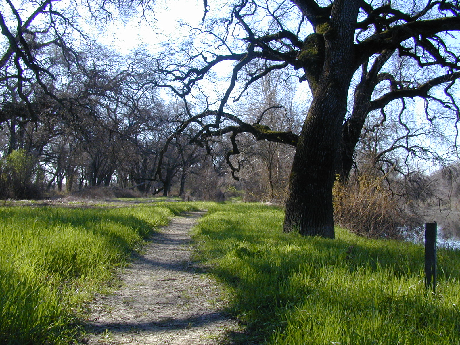Irvine Finch Access Campground
