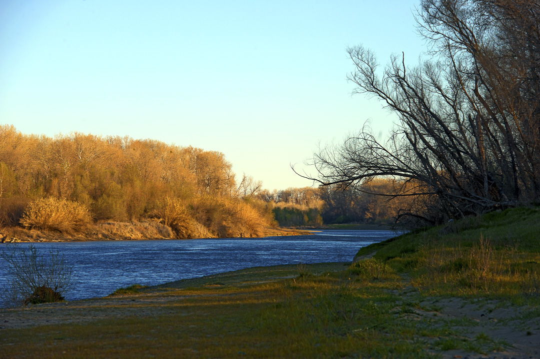 Irvine Finch Access Campground