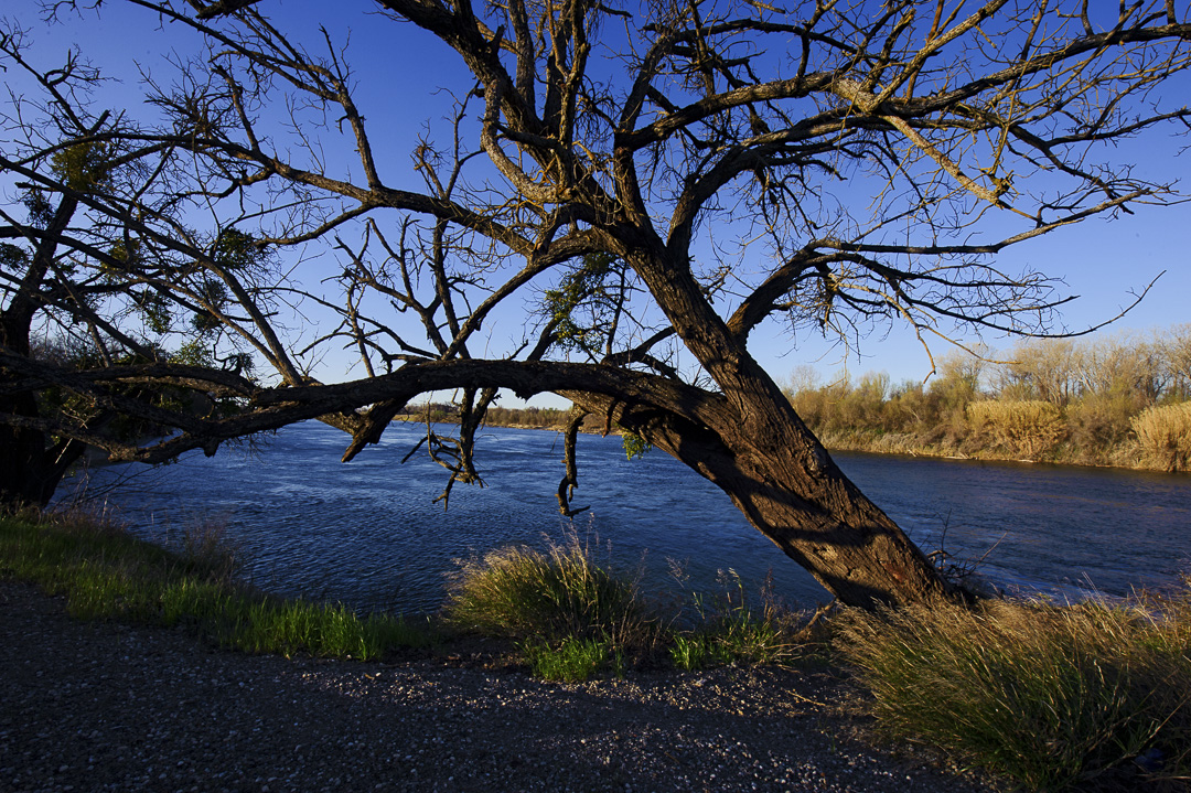 Irvine Finch Access Campground