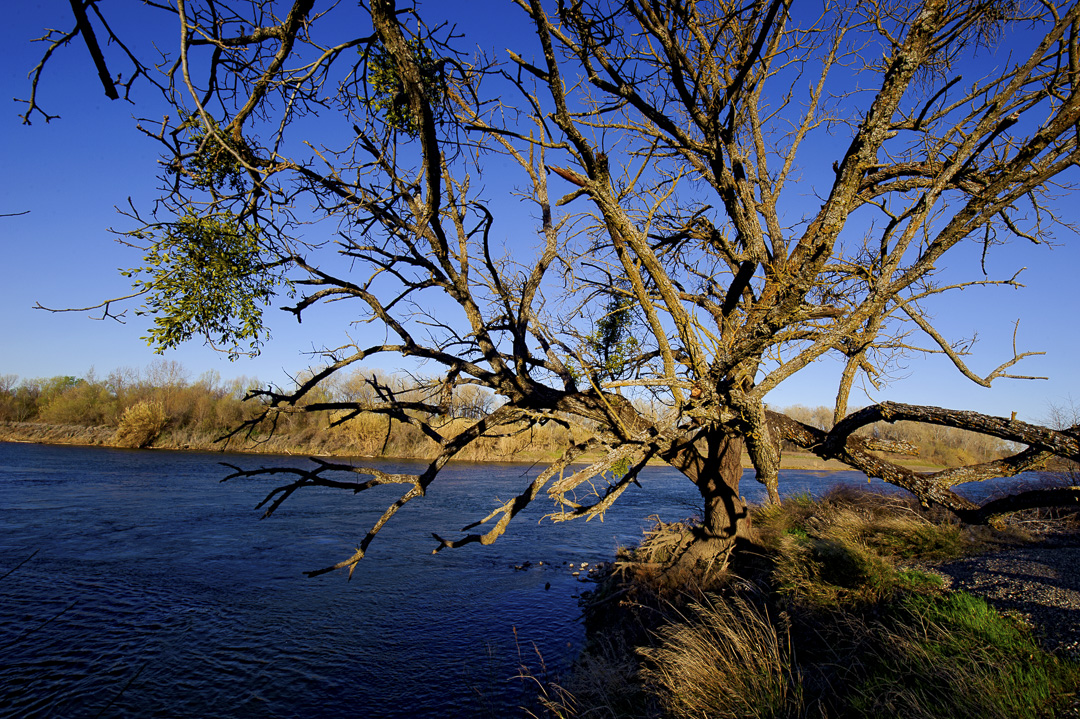 California State Parks
