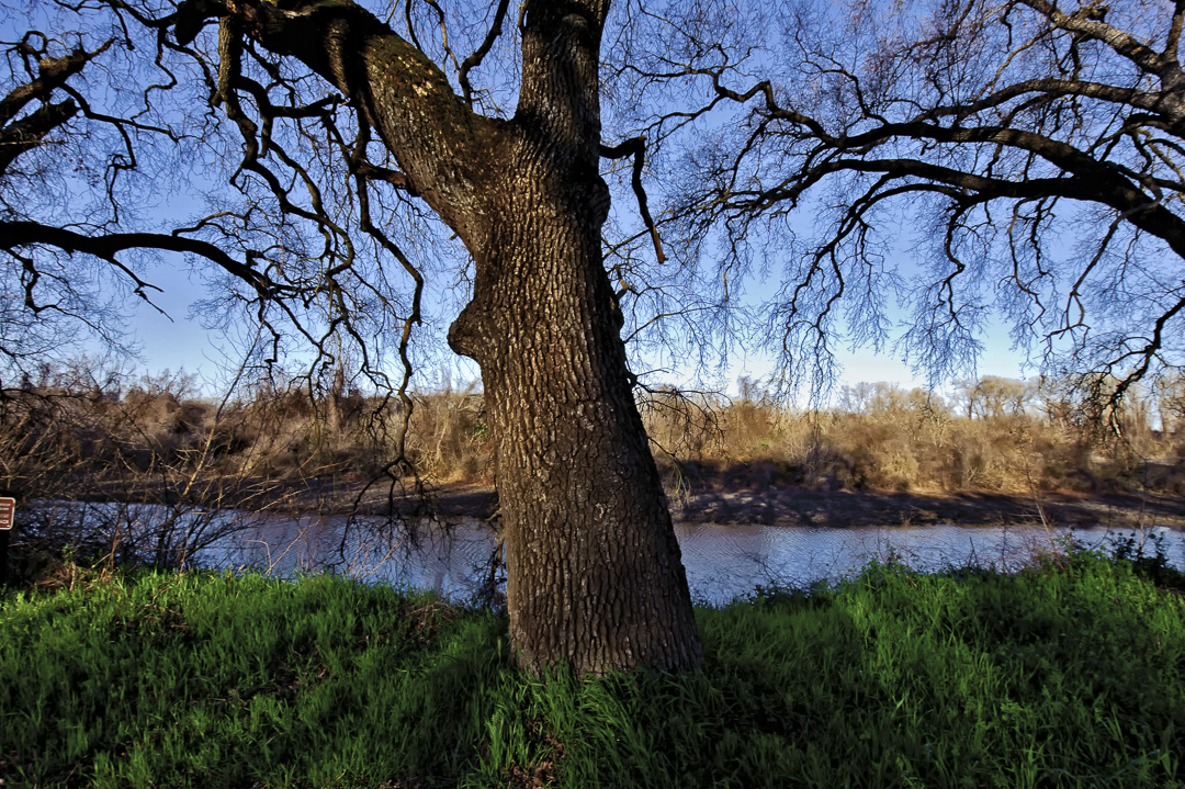 California State Parks