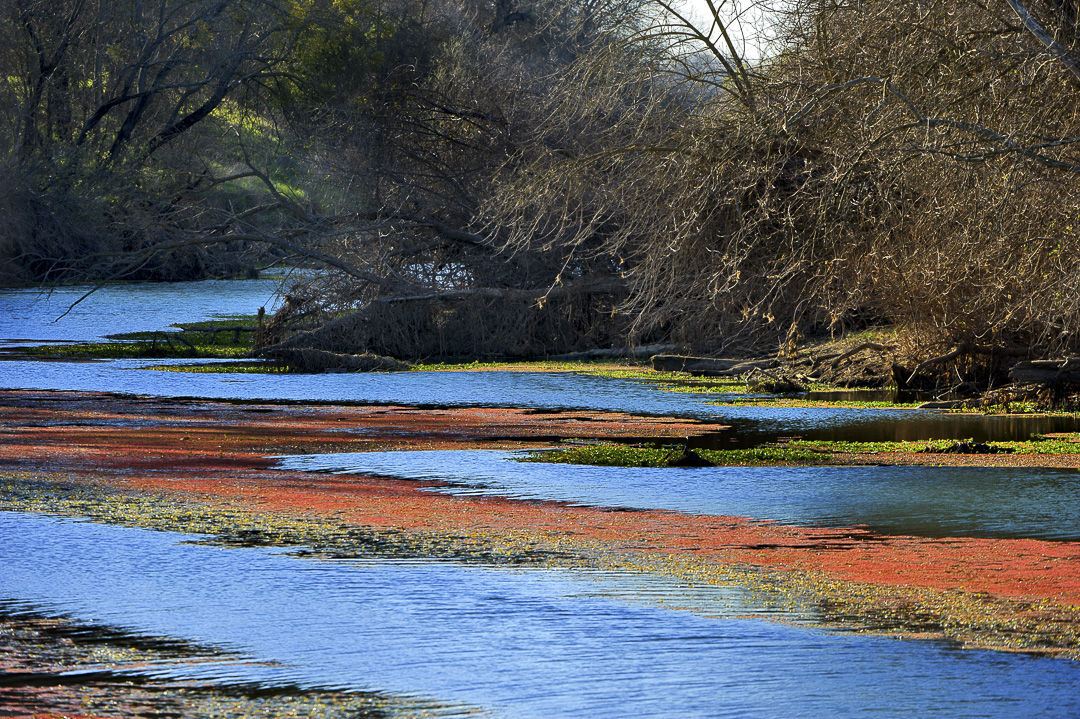 Irvine Finch Access Campground