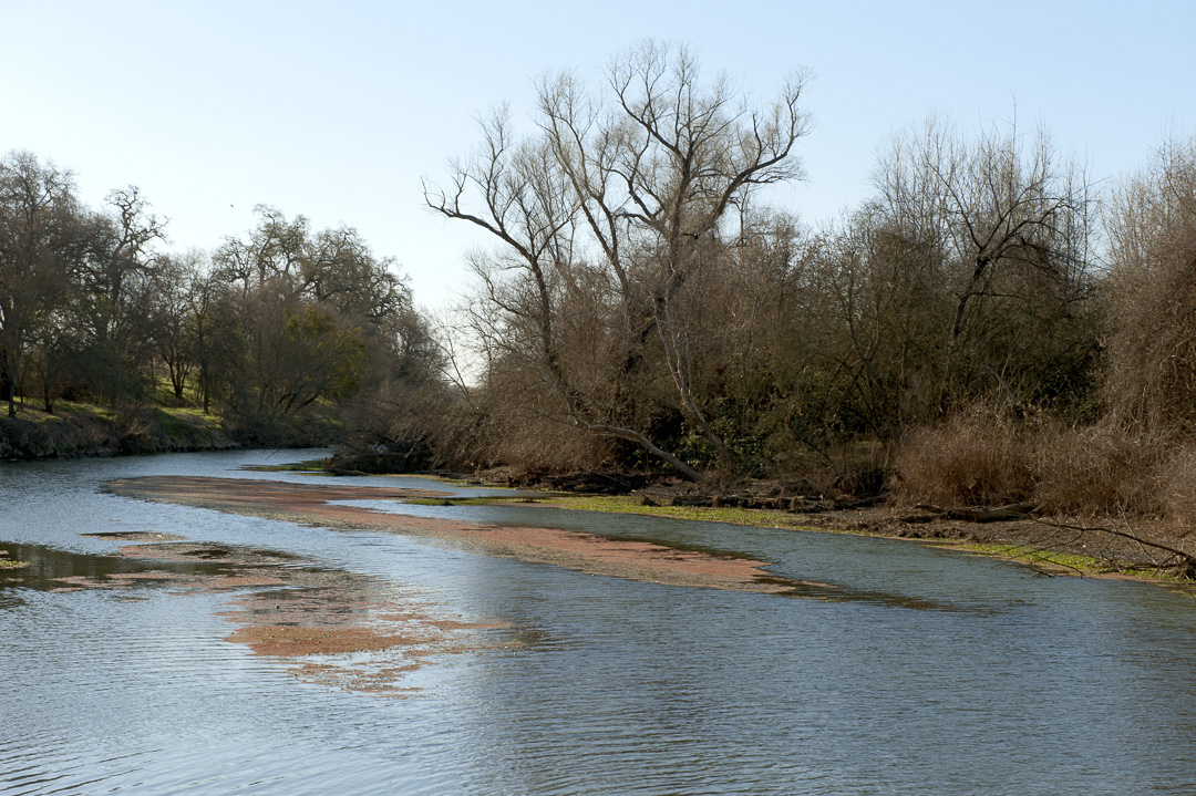 Irvine Finch Access Campground