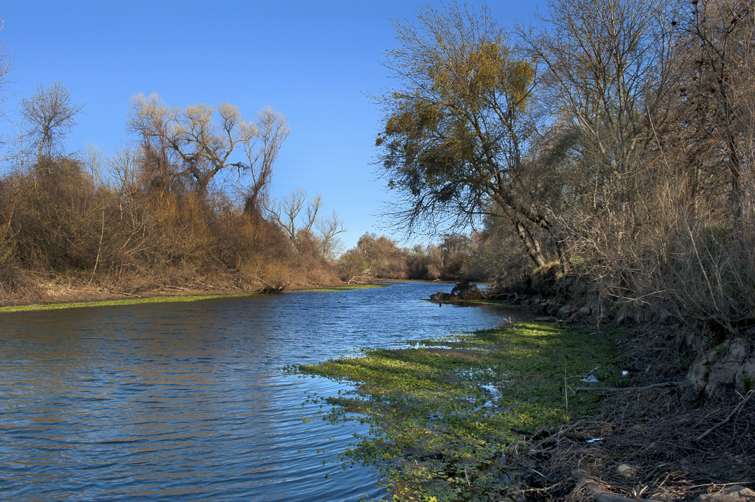 Irvine Finch Access Campground