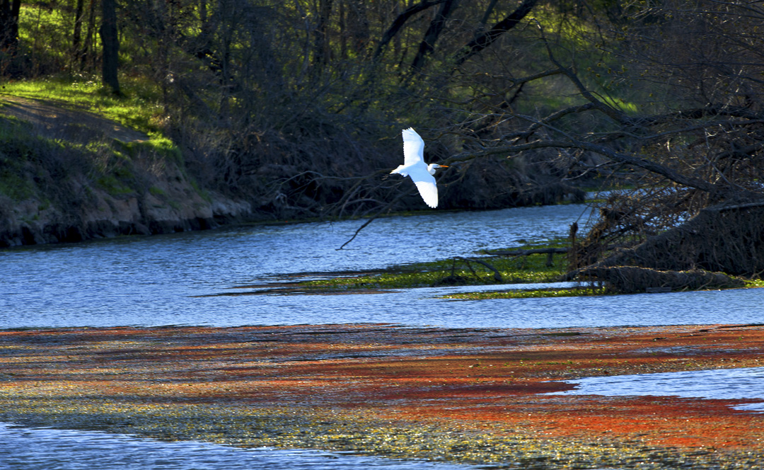 Irvine Finch Access Campground