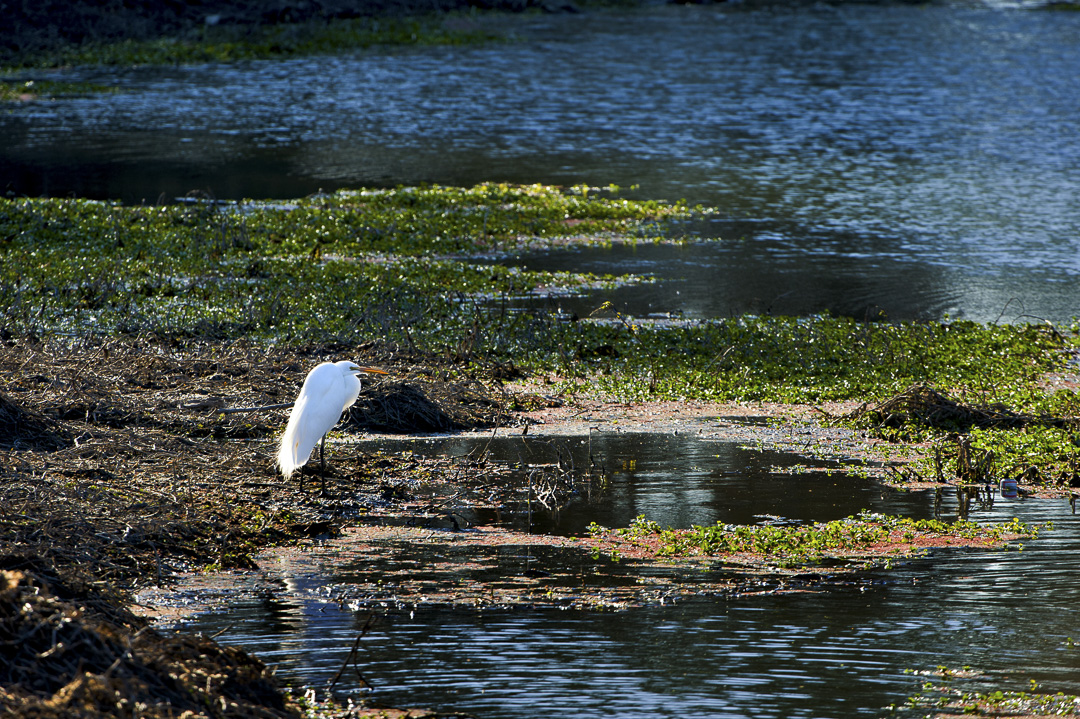 Irvine Finch Access Campground