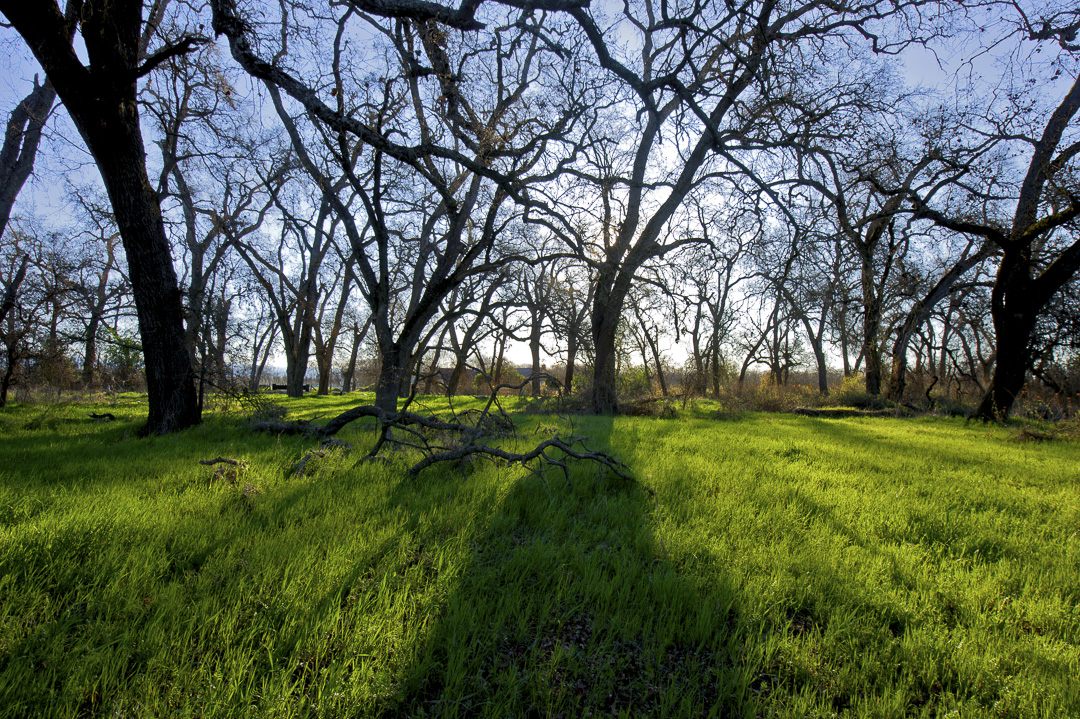 Irvine Finch Access Campground