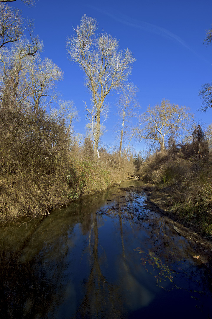 Irvine Finch Access Campground