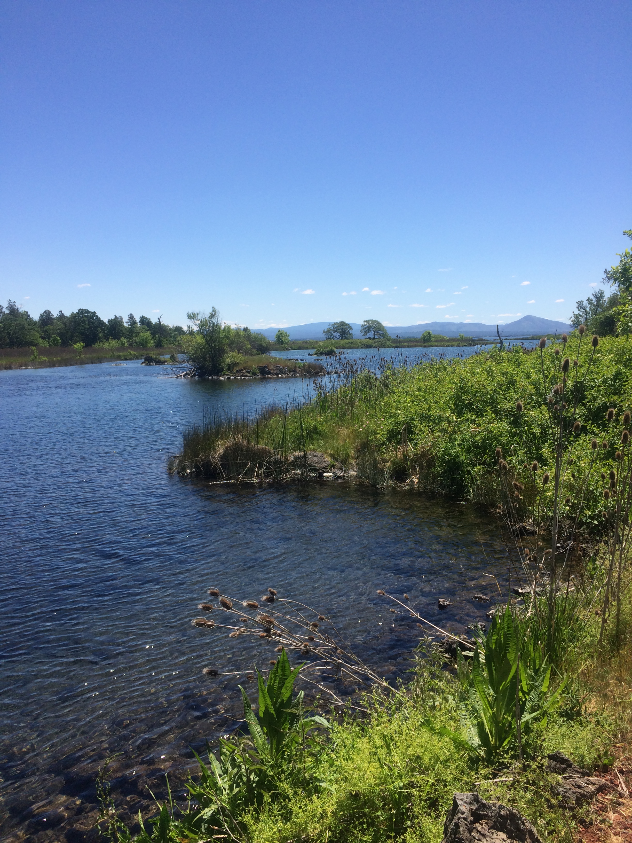 Ahjumawi Lava Springs State Park Campground