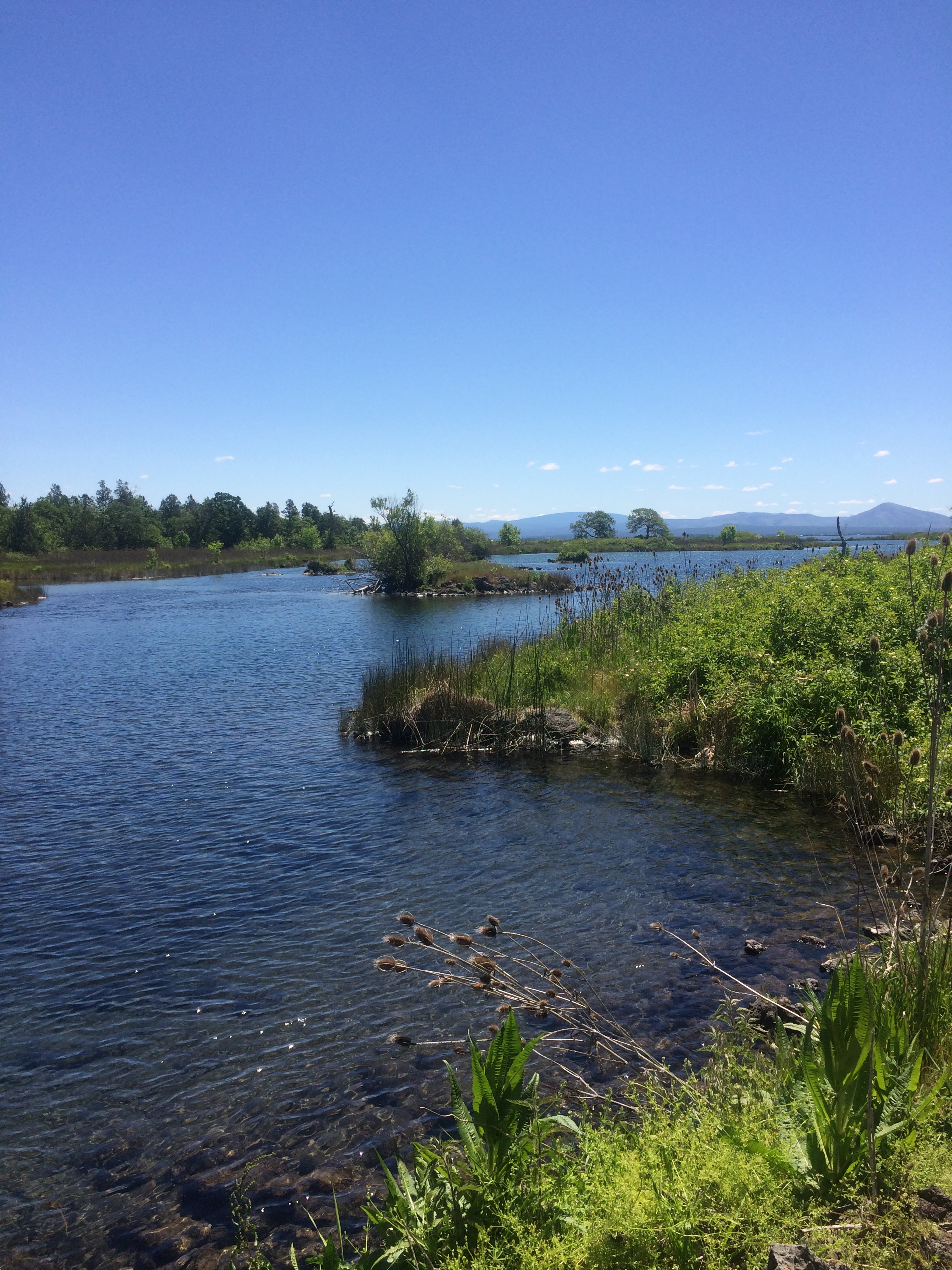 Ahjumawi Lava Springs State Park Campground