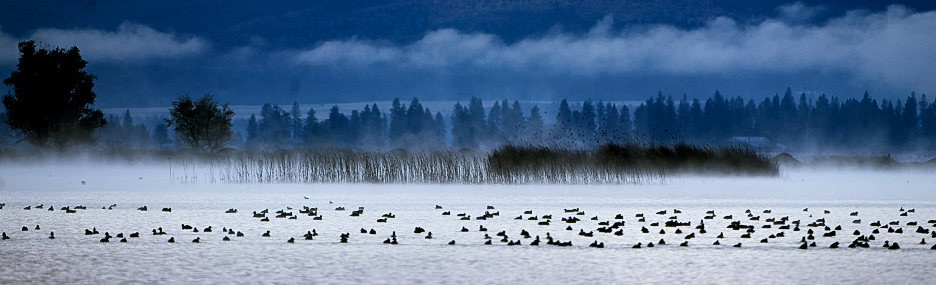 California State Parks