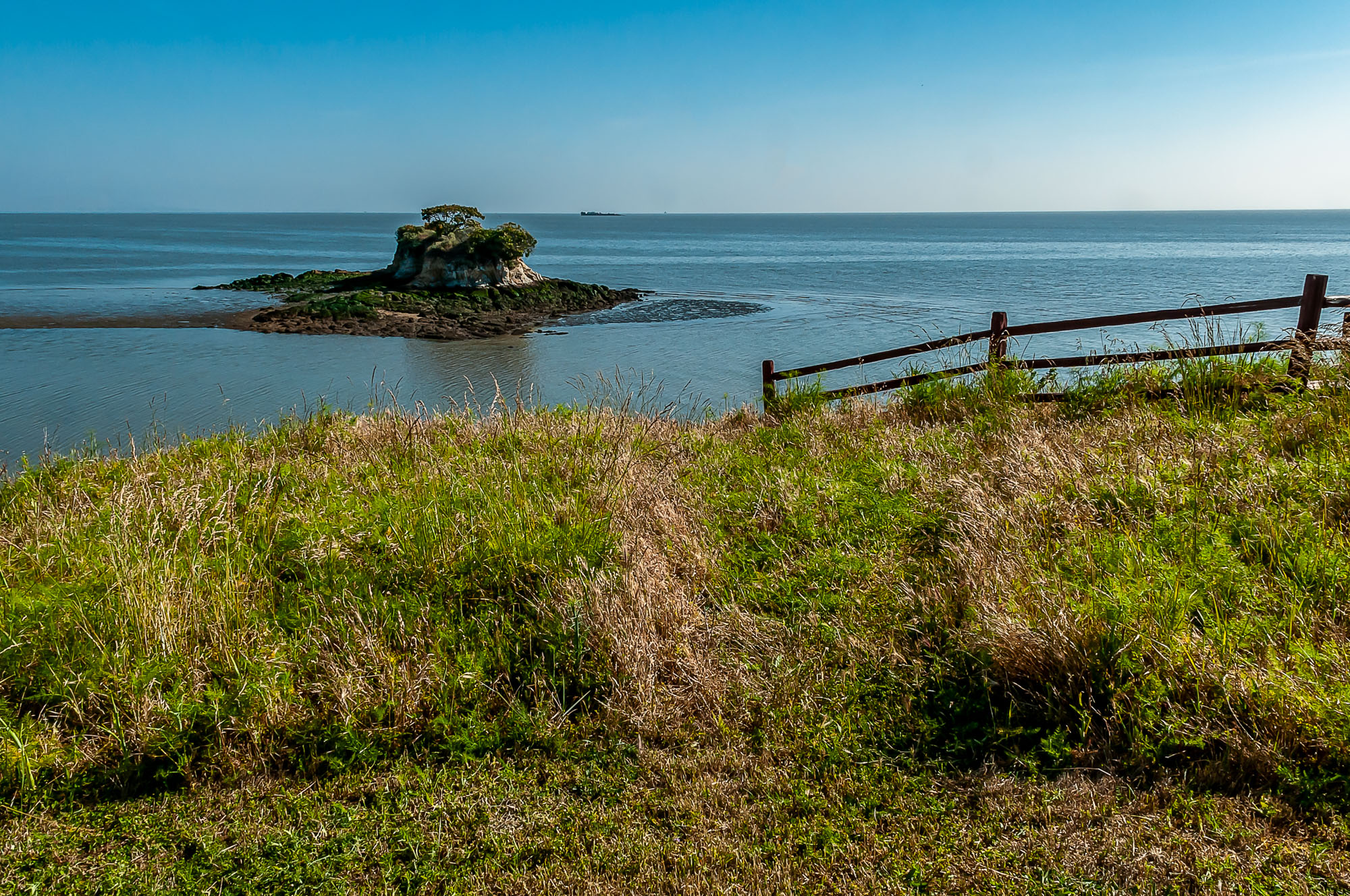 China Camp State Park Campground