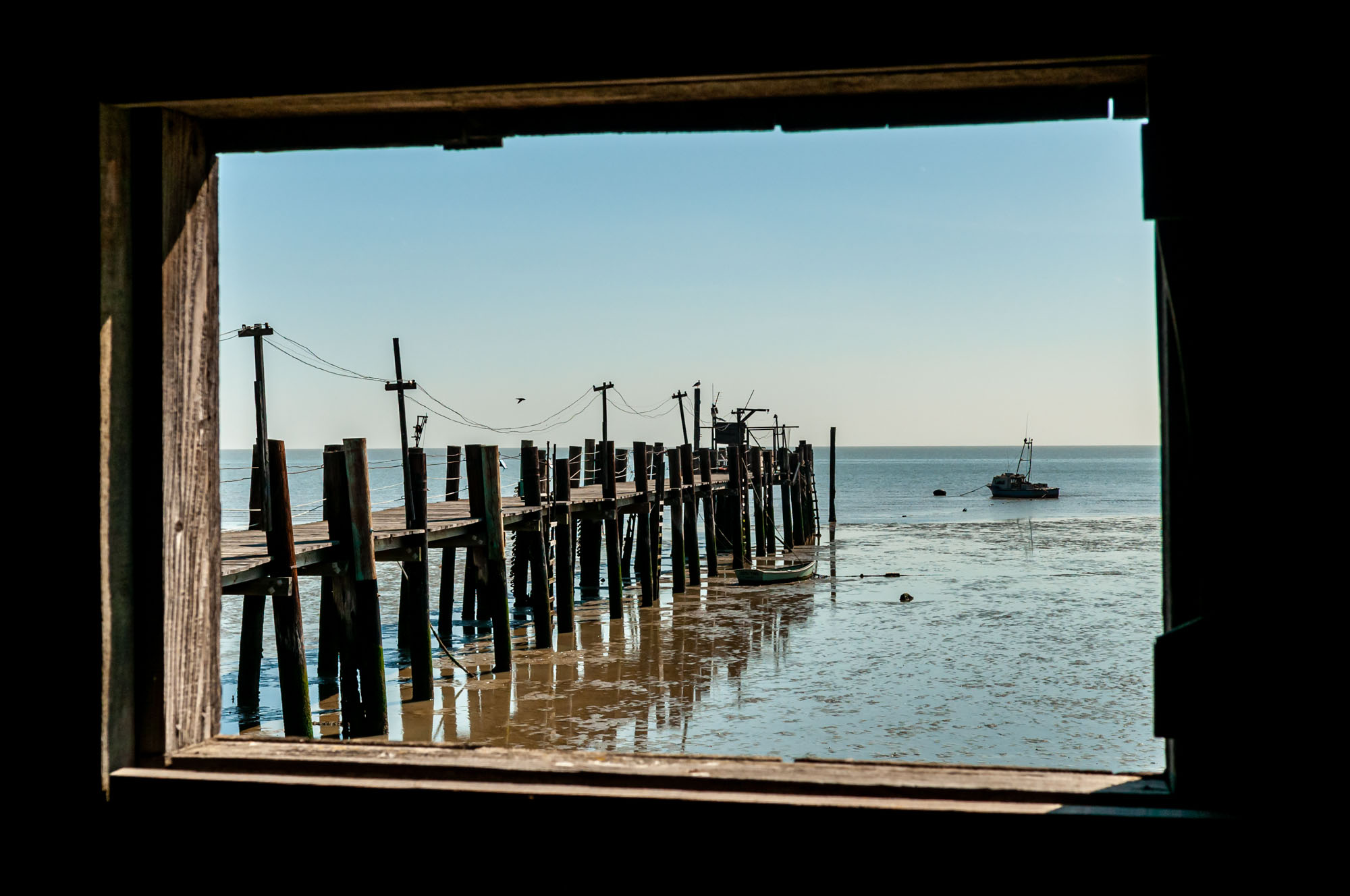 China Camp State Park Campground