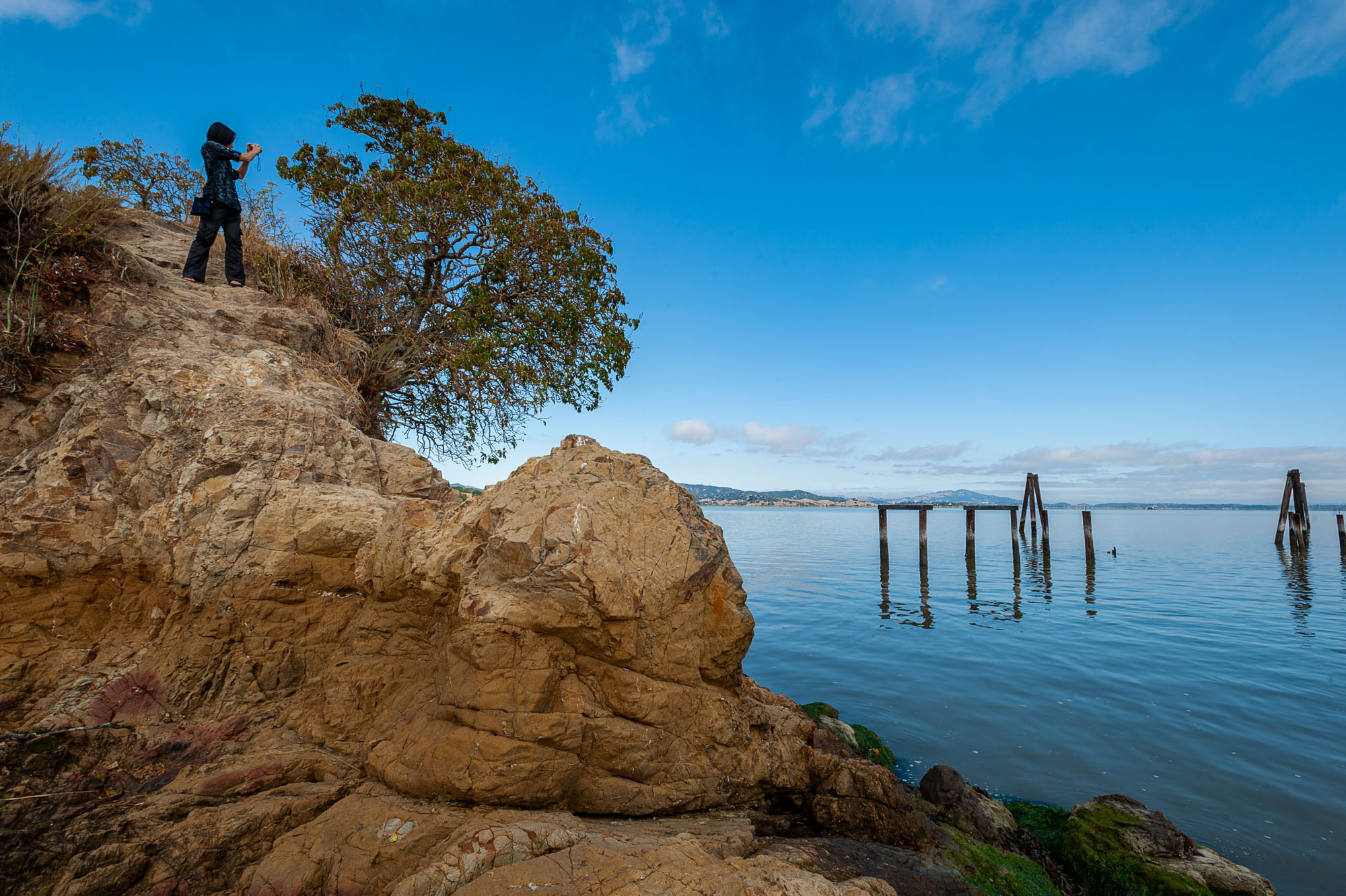China Camp State Park Campground
