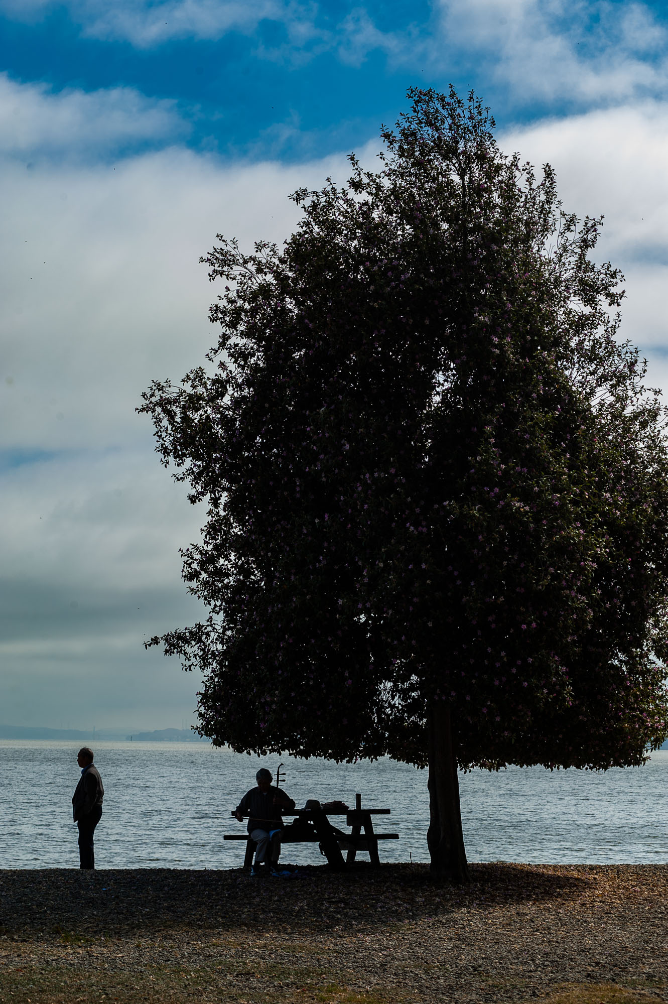 China Camp State Park Campground