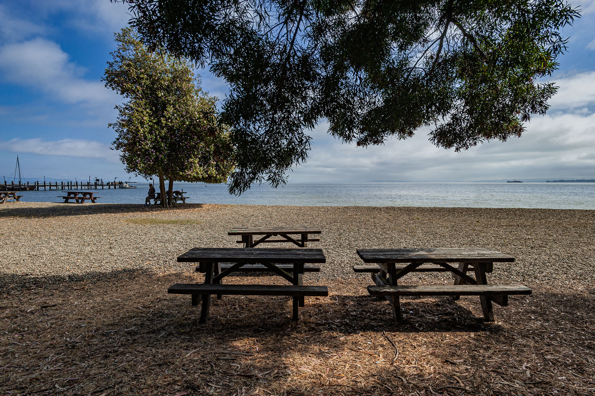 China Camp State Park Campground