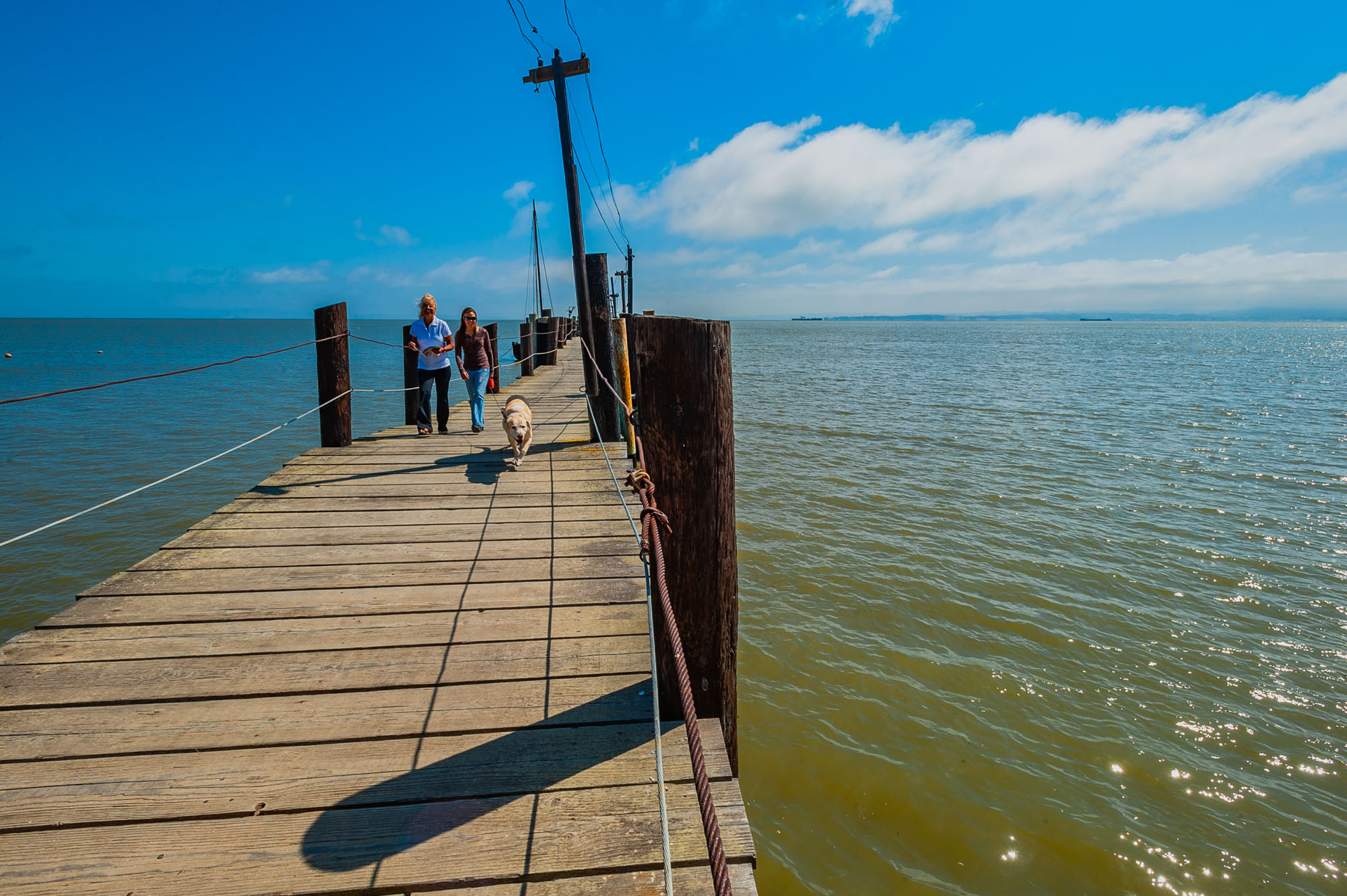 China Camp State Park Campground
