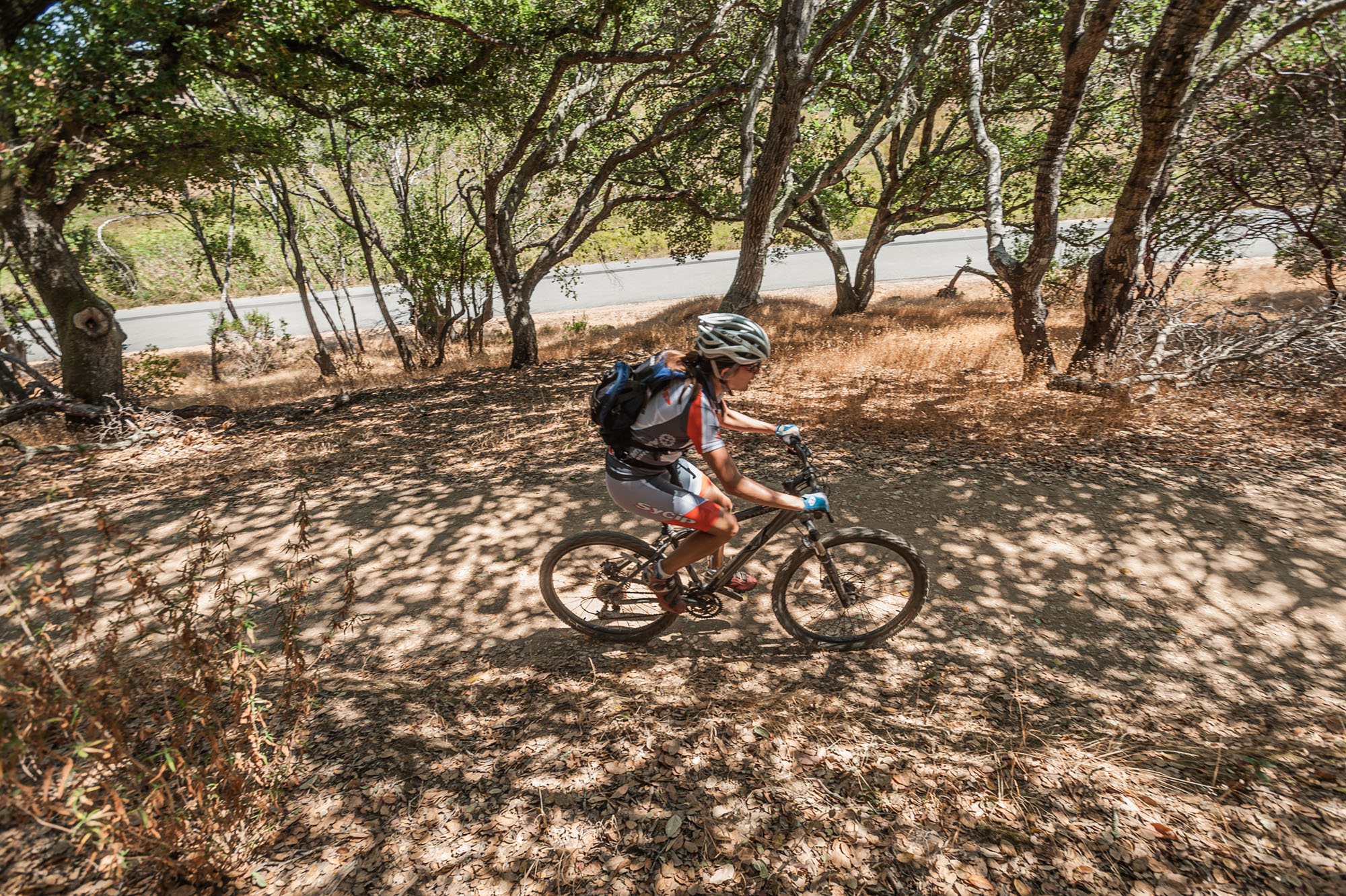 California State Parks