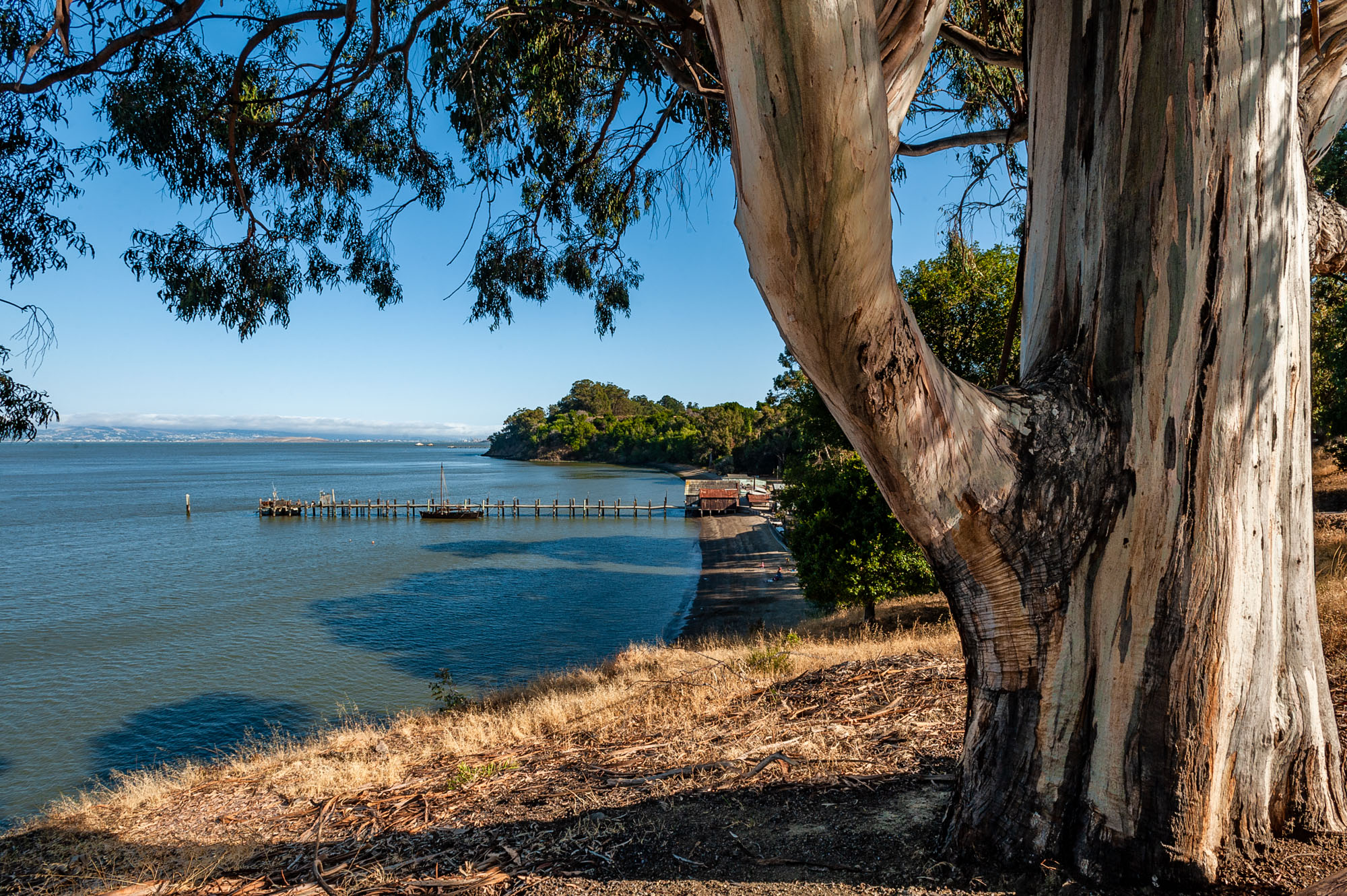 China Camp State Park Campground