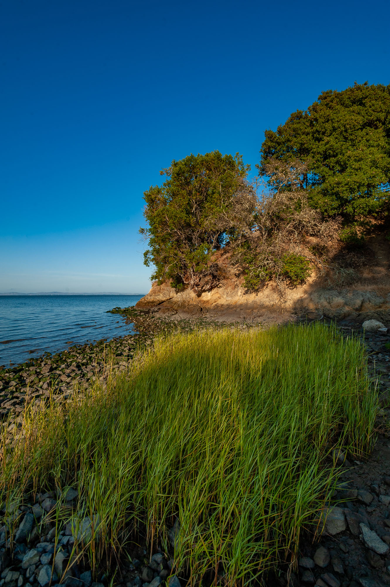 China Camp State Park Campground