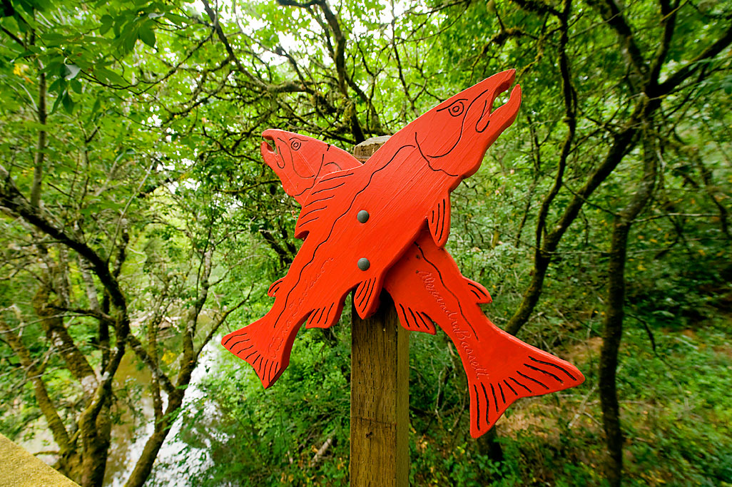 California State Parks