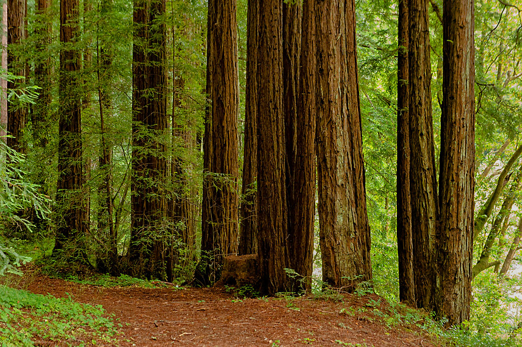 California State Parks