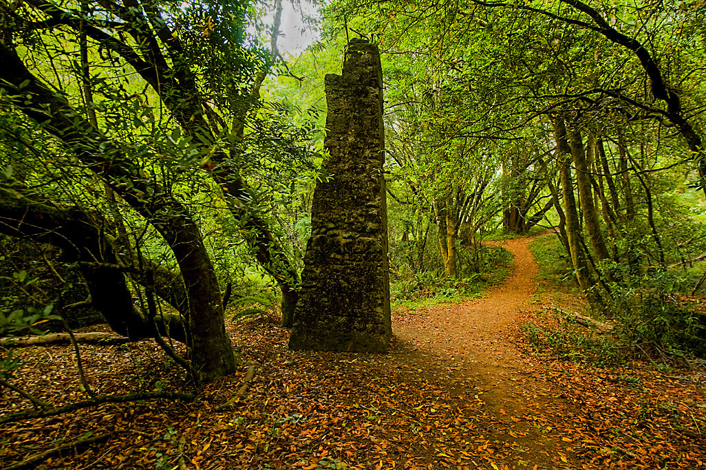 California State Parks