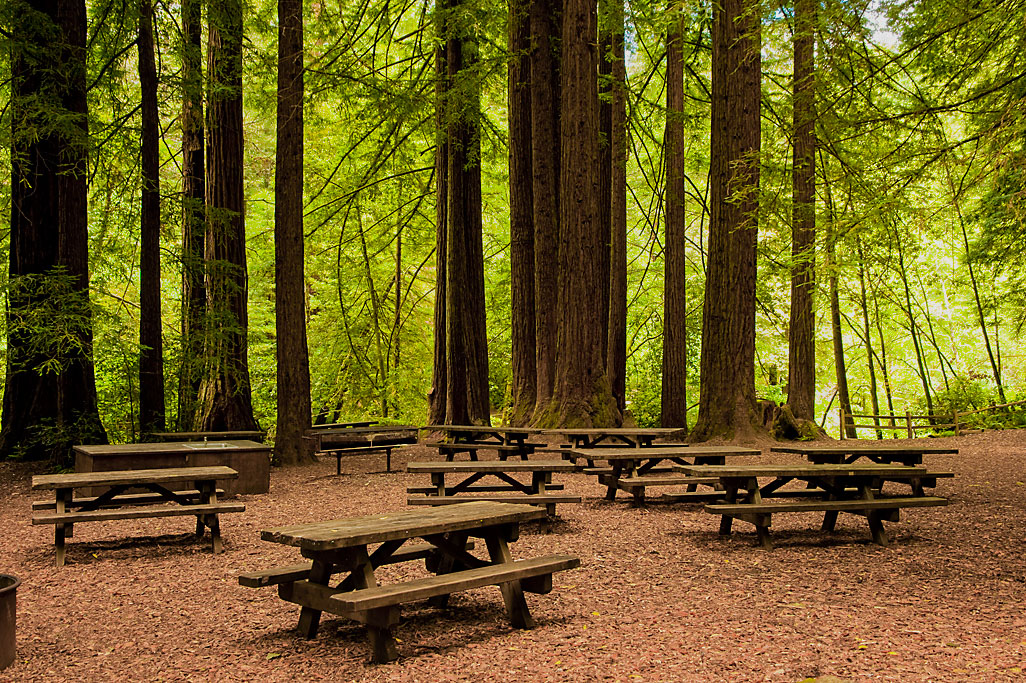 Samuel P. Taylor State Park Campground