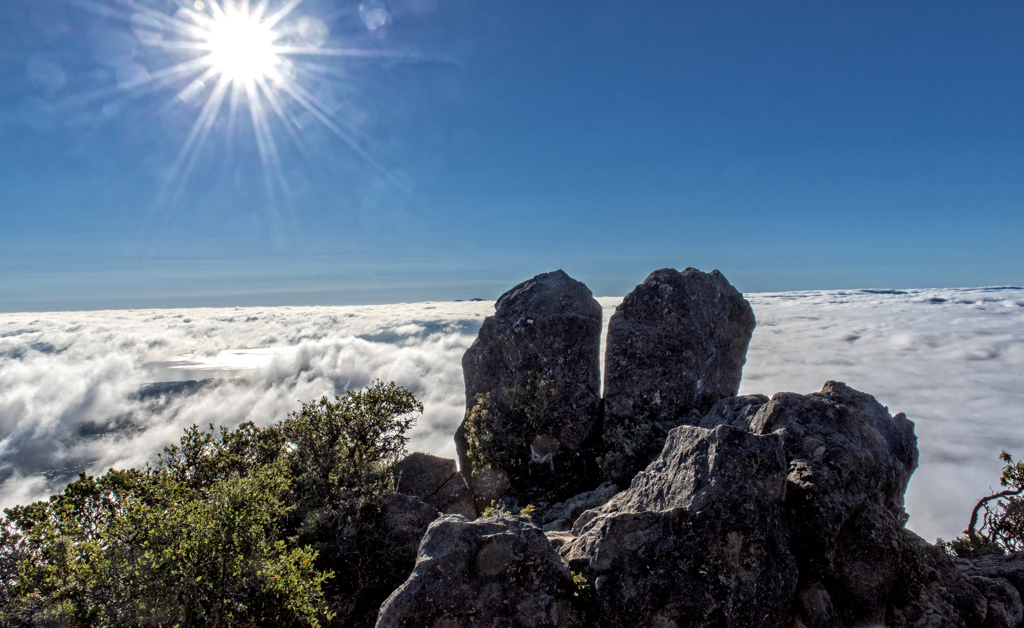 California State Parks