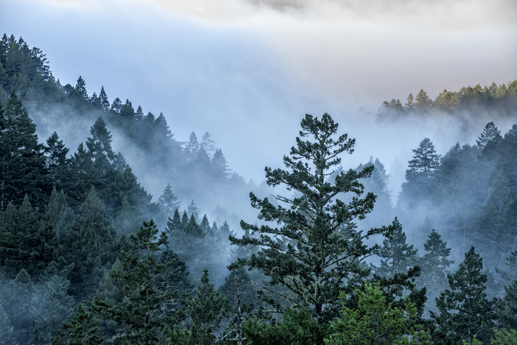 California State Parks