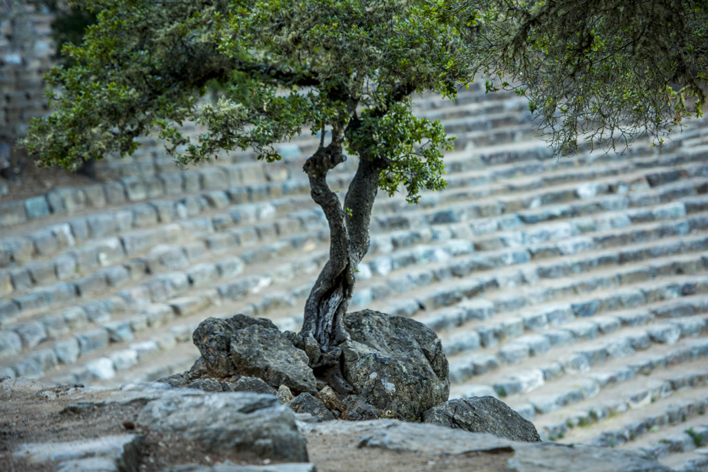 Alice Eastwood Group Campground