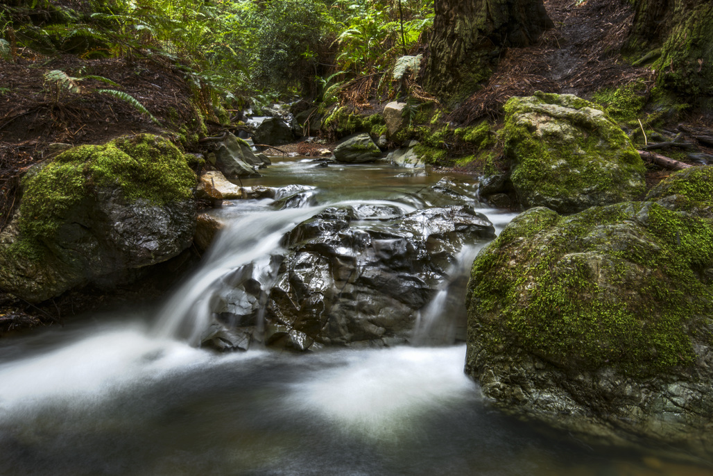 California State Parks