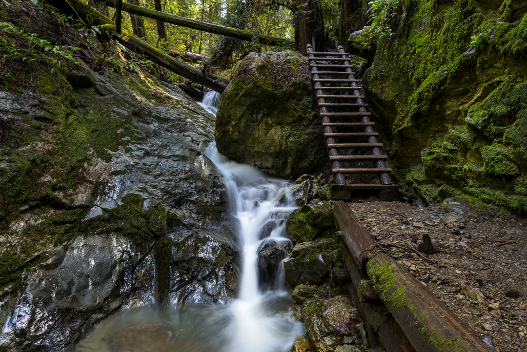 Steep Ravine Campground