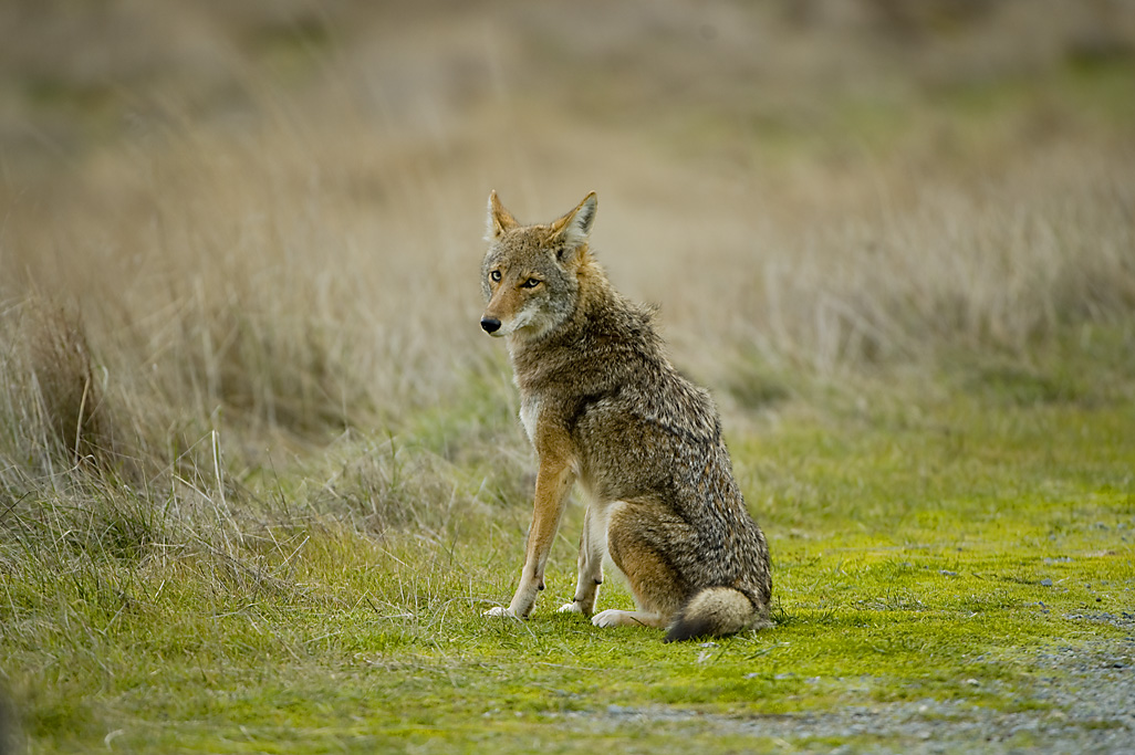 California State Parks