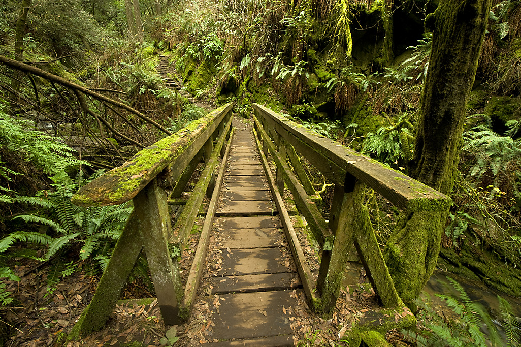 California State Parks
