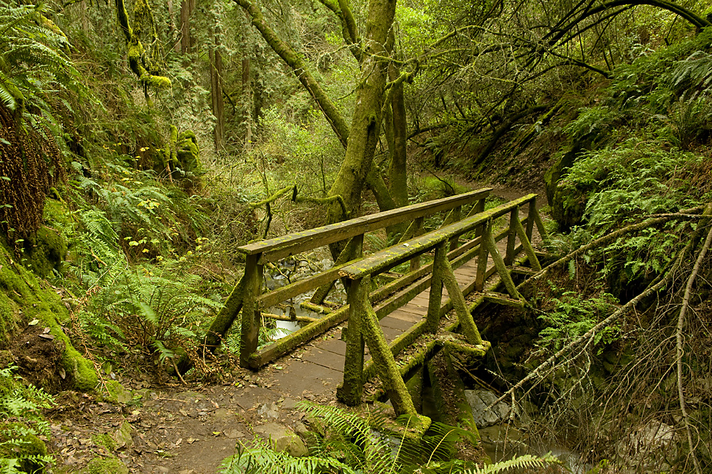 California State Parks