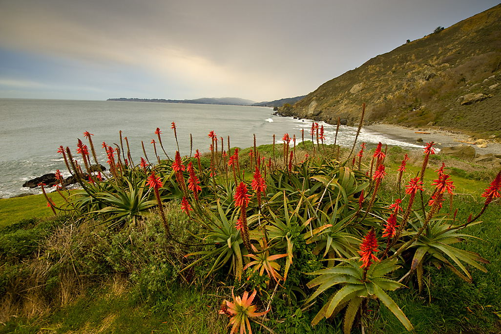 California State Parks
