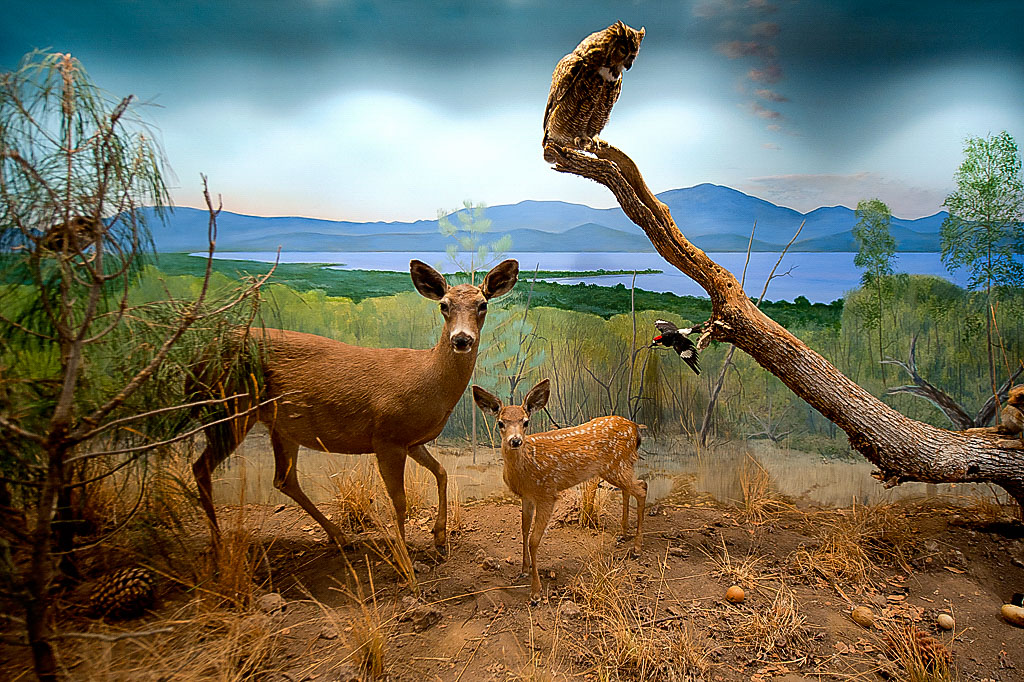 California State Parks